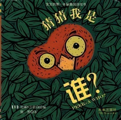 猜猜我是谁 (Guess Who I Am) — Chinese edition